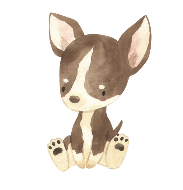 水彩吉娃娃。儿童狗狗插画图片下载