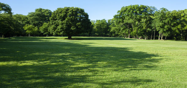 格林公园图片下载