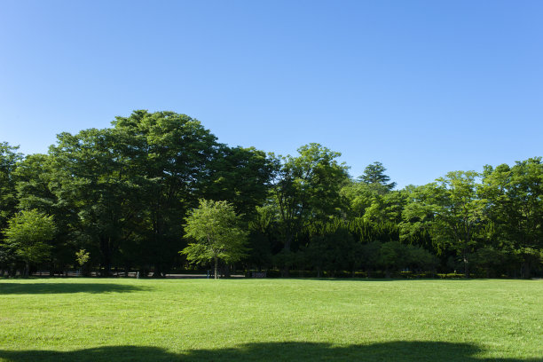 格林公园图片下载