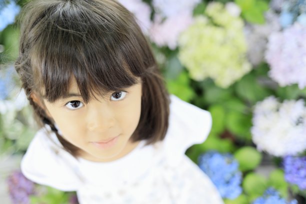日本女孩和绣球花(7岁)图片下载