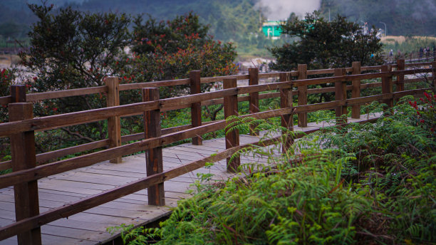 公园内有一座自然风光的木桥，有着高大的树木和令人惊叹的景色图片下载