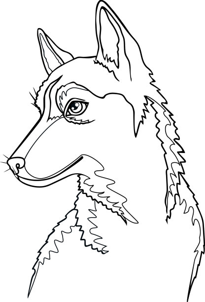 哈士奇小狗小狗肖像-线性图片下载