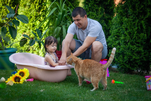 那个男人和他的孩子在花园里喂猫。图片下载