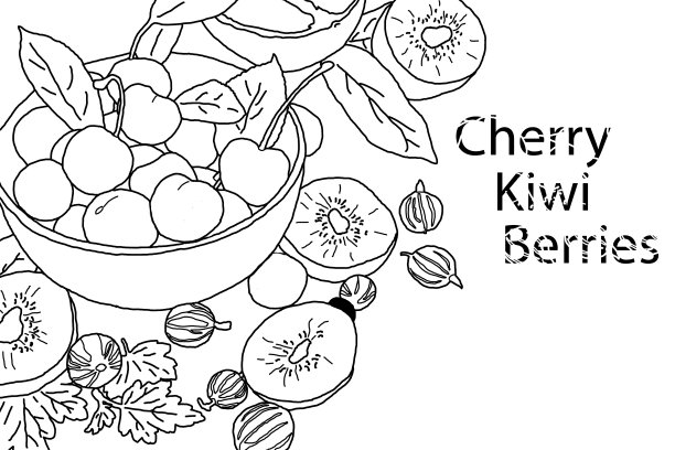 水果和浆果以白色为背景图片下载