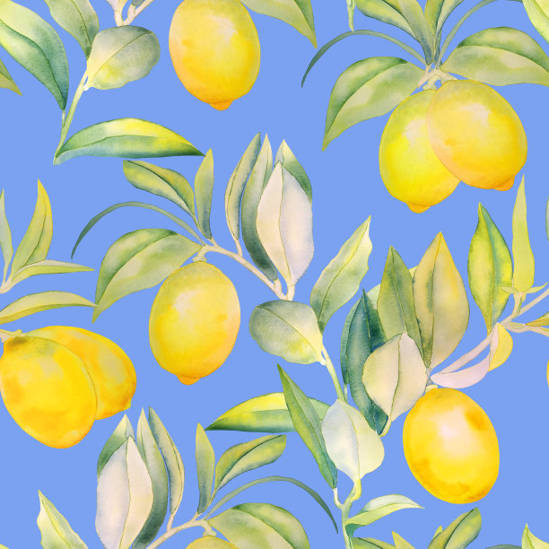 成熟的柠檬果实在树枝上无缝水彩图案。无尽的黄色柑橘背景。在孤立的背景上手绘热带树木插图。夏季植物西西里版画。纺织品图片下载
