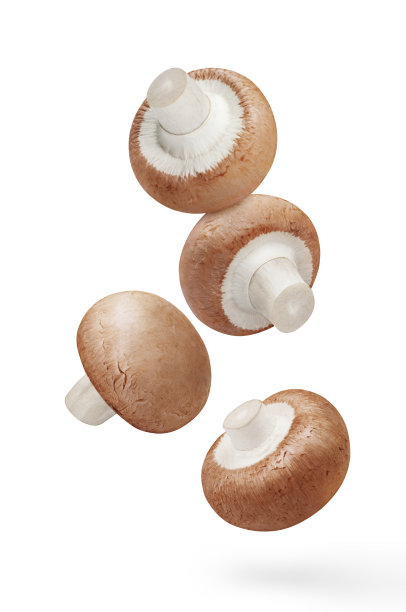 白上飞着美味的蘑菇图片下载