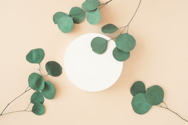 圆形平台上有桉树树枝，用于产品展示。米色背景上的抽象最小几何形式。一橱窗，桉树，柔和的阴影。现场,显示。俯视图，平铺。图片下载