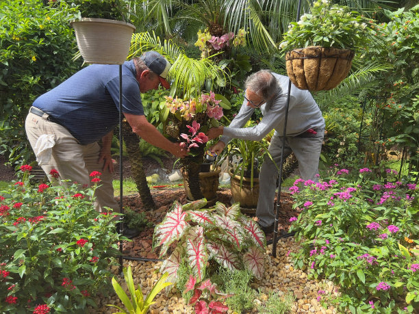 建造热带花园的房主图片下载