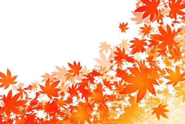 秋叶在风中飞舞的背景。图片下载