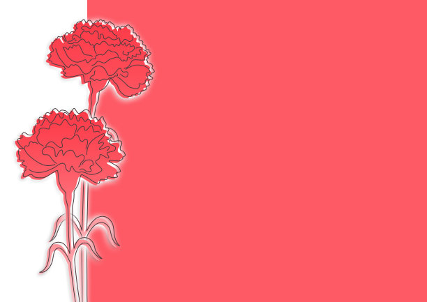 两朵康乃馨的插图。母亲节等等。图片下载