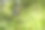 数码绘画鲜艳的阳光下紫色的蓝铃花对自然背景。图片下载