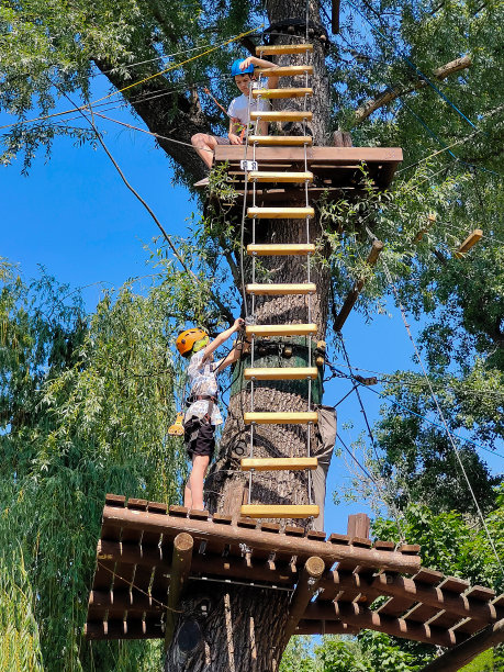 两个十几岁的男孩用绳梯爬到树顶，在一个安全弹药库的绳索公园里。底部照片图片下载