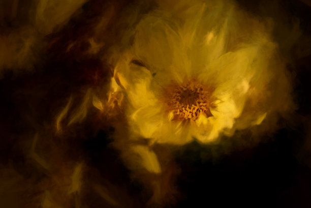 在黑暗的背景下，使用浅景深的数码画一幅明亮的黄色雏菊或巴黎雏菊图片下载