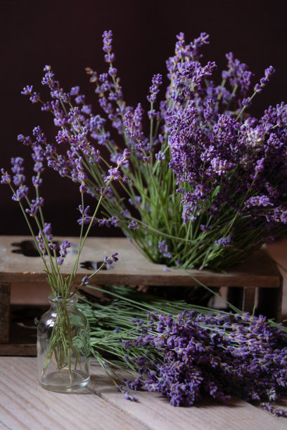 木制背景上的薰衣草花图片下载
