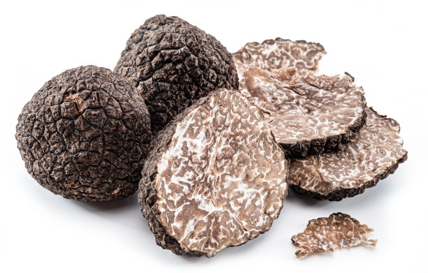 黑松露和白底松露片。最著名的松露。图片下载