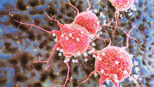 癌症细胞图片下载