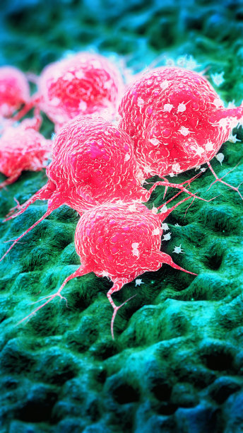 癌症细胞图片下载