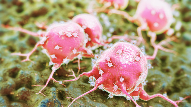 癌症细胞图片下载