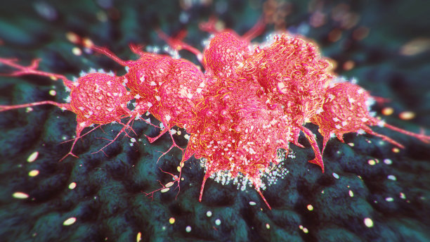 癌症细胞图片下载