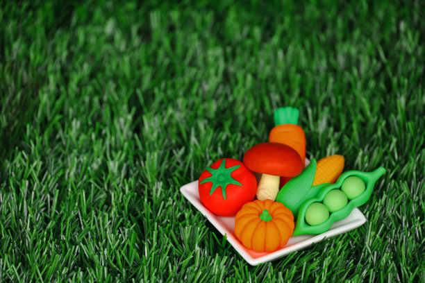 彩色蔬菜摆放在白色盘子上的微型模型图片下载