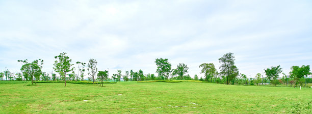户外环境中美丽的绿色草坪风景图片下载