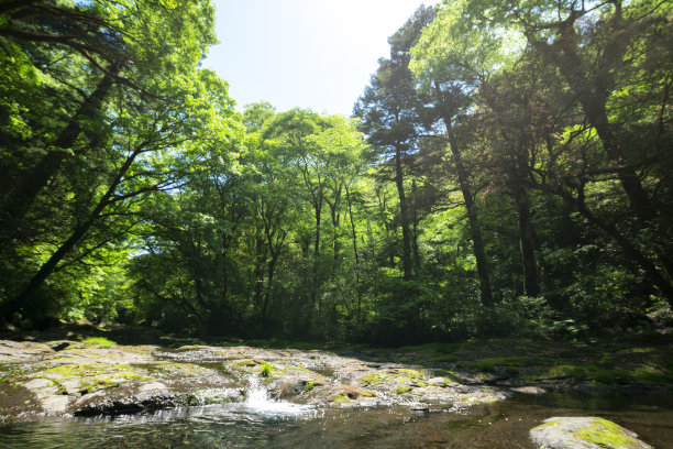 初夏的菊池峡谷，日本九州熊本图片下载