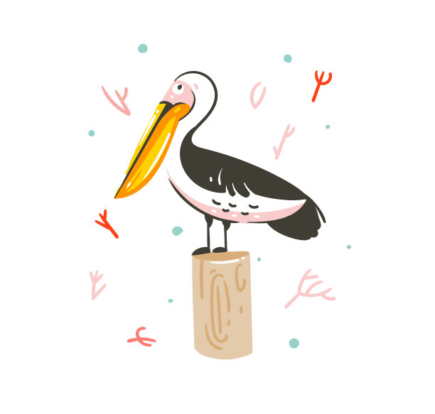 手绘矢量抽象卡通夏季时间图形装饰插图艺术与奇异的海洋鹈鹕鸟孤立在白色背景图片下载