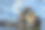 野生海獭在平静的海水中休息的特写图片下载