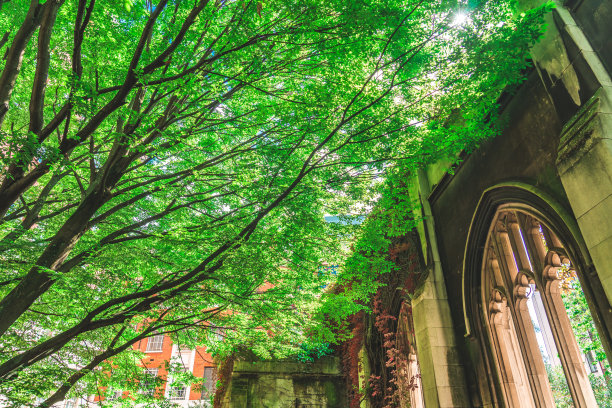 伦敦东院的圣邓斯坦图片下载