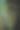 一只孔雀的特写图片下载
