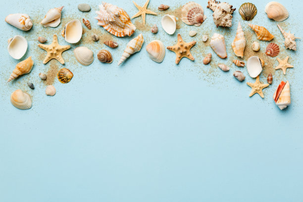 夏天的时间概念平面布局组成与美丽的海星和海贝在彩色的桌子，顶部视图与复制空间的文本图片下载