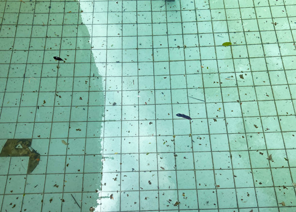 学校的池塘很脏，树叶里有碎片。图片下载