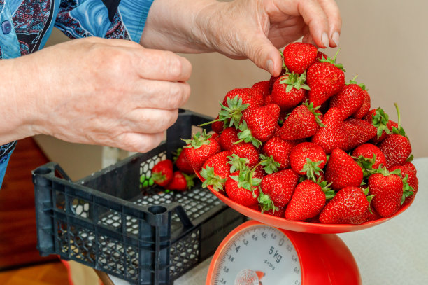 女人把草莓放在厨房天平上图片下载