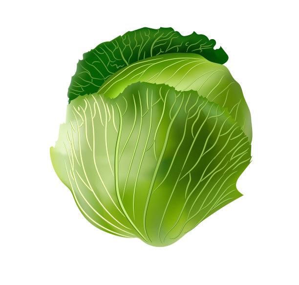 现实的蔬菜隔离在透明的背景。图片下载