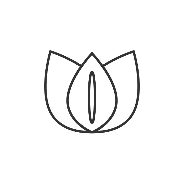 叶图标在扁平花柱植物在白色离生图片下载