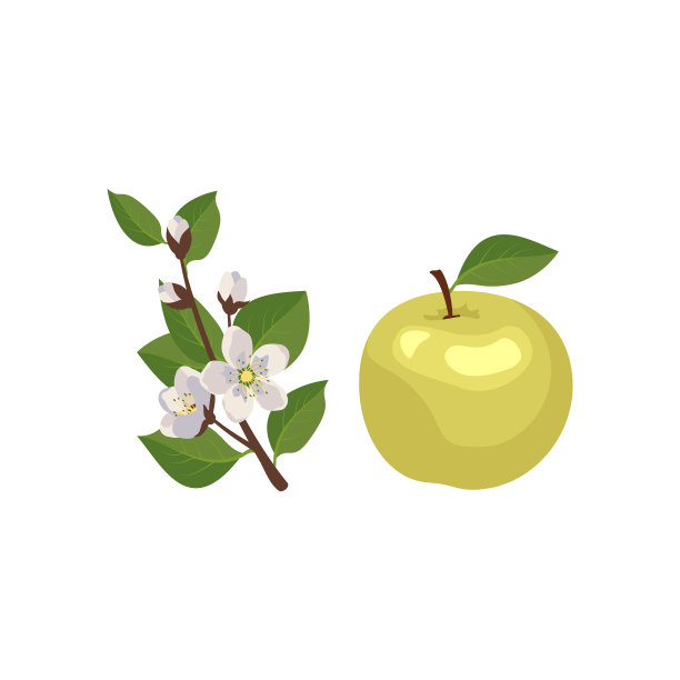 图标集黄色或绿色的苹果与树枝图片下载