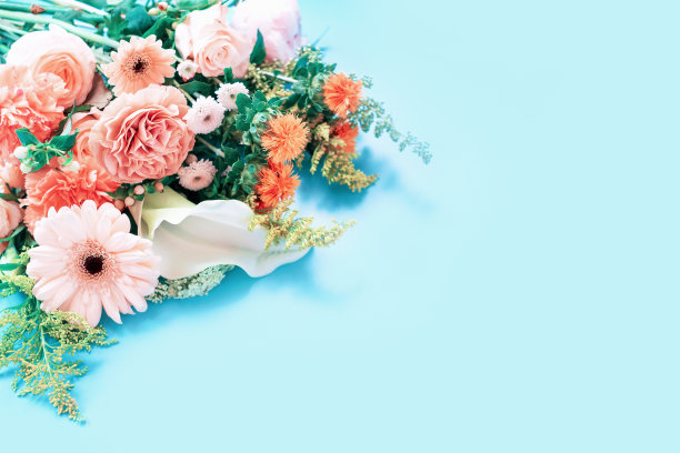 花束非洲菊，玫瑰和康乃馨的蓝色背景拷贝空间。图片下载