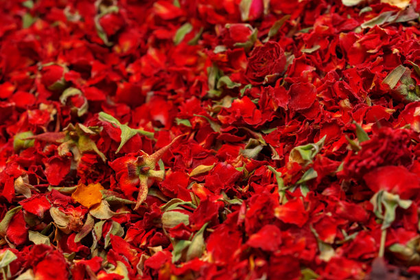 宏观特写背景纹理干玫瑰花瓣图片下载