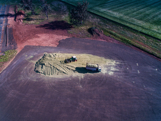青贮饲料生产图片下载