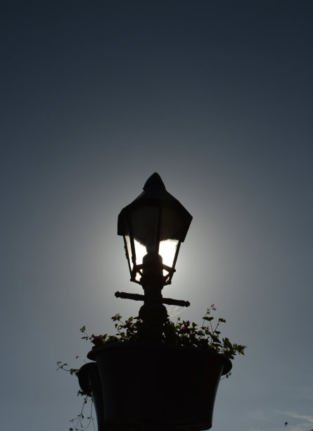 有太阳的路灯图片下载