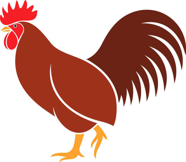 公鸡图片下载