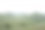 一座座山，小山覆盖着绿草，三棵树，雾气缭绕。春景层峦叠嶂图片下载