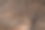 毛皮纹理背景与家猫的皮肤图片下载