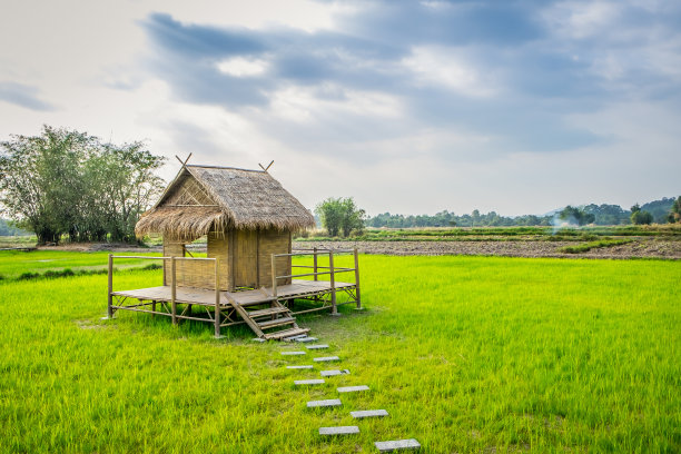 木制别墅的房子图片下载