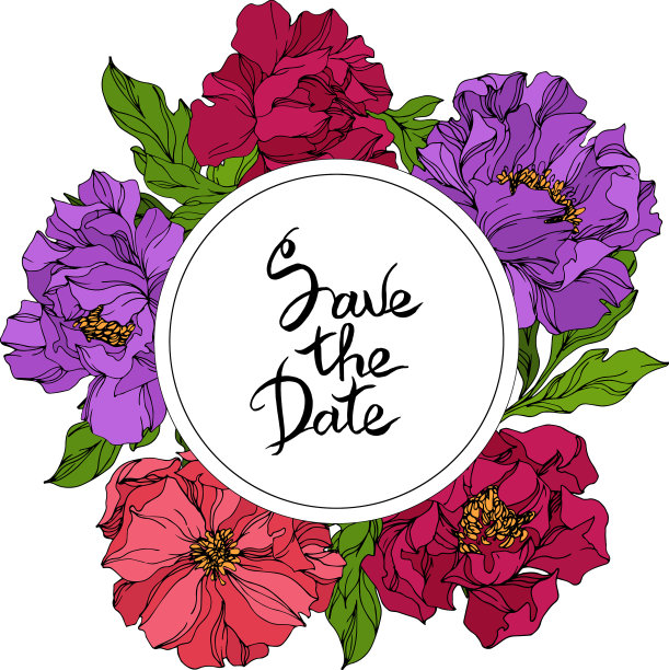 牡丹花植物学野生春叶花图片下载