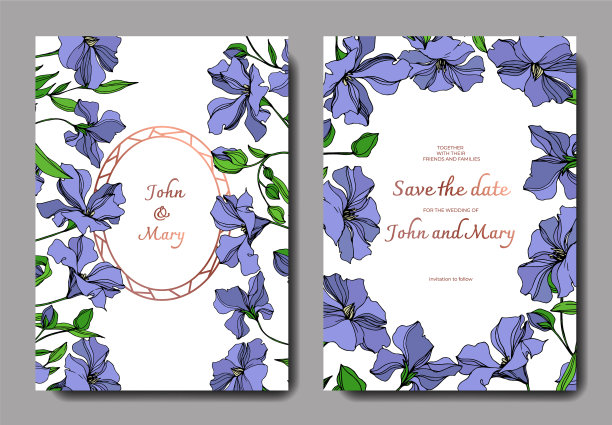 亚麻花植物的花黑色和白色图片下载