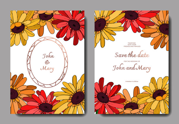 非洲菊花植物花图片下载