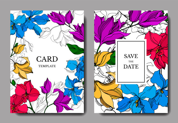 兰花花植物学花黑色和白色图片下载