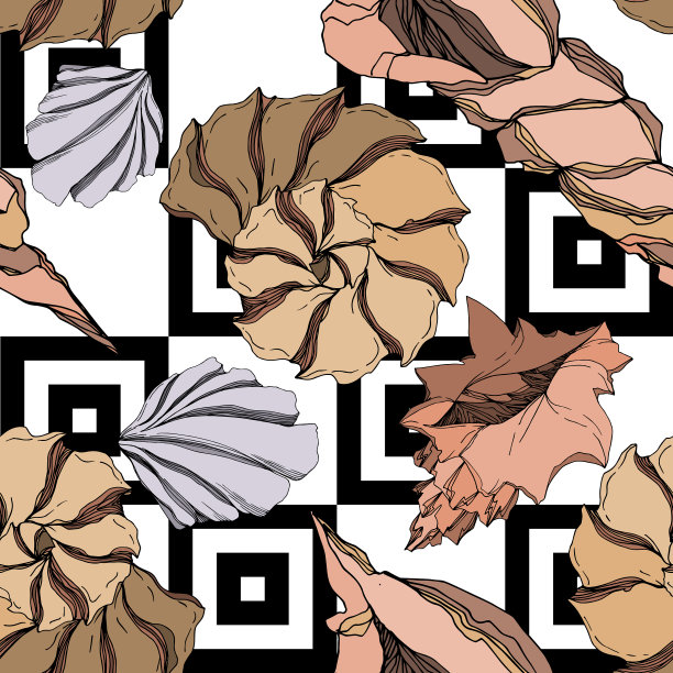 夏季海滩贝壳热带元素黑色和图片下载