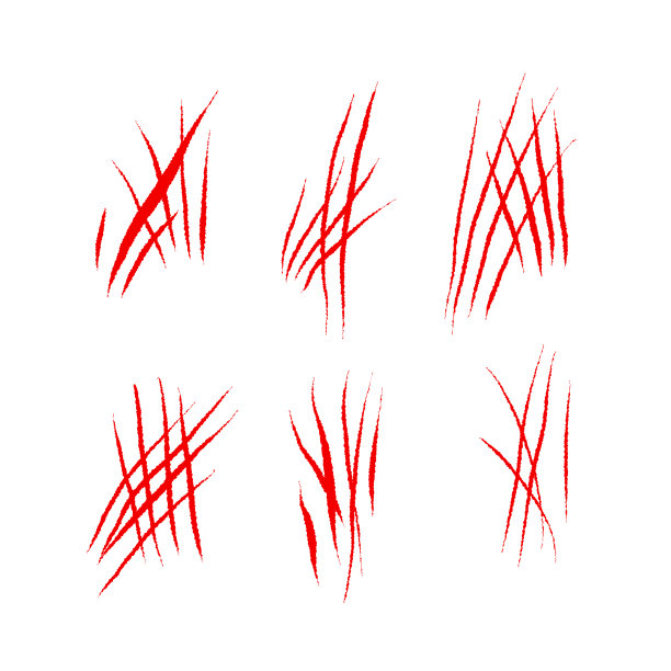 动物抓伤组图片下载